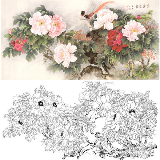 横幅工笔花鸟白描底稿-梁燕生-牡丹绶带鸟《富贵长寿》-多种白描尺寸可选-A006 商品图0