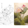 竖幅工笔花鸟白描底稿-梁燕生-荷花-溢远-A124 商品缩略图0