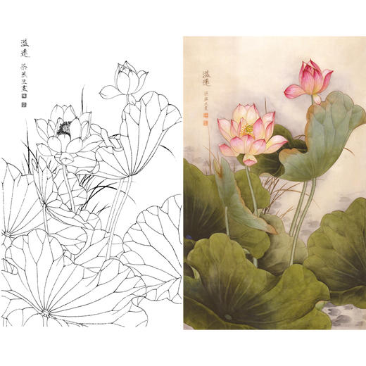 竖幅工笔花鸟白描底稿-梁燕生-荷花-溢远-A124 商品图0