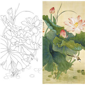 俞致贞竖幅工笔花鸟白描底稿-荷花鹡鸰-A091