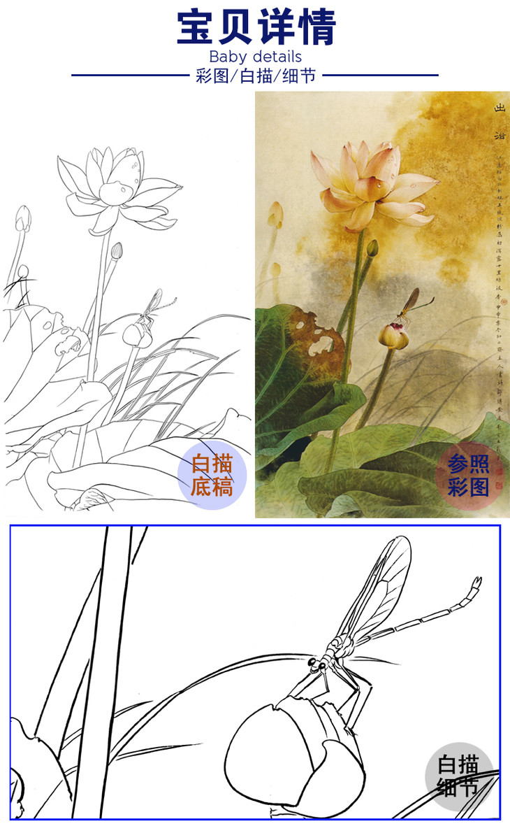 竖幅工笔花鸟白描底稿邹传安荷花蜻蜓出浴a009