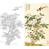 竖幅工笔花鸟白描底稿-俞致贞-牡丹《长寿永昌》-多种白描尺寸可选-A087 商品缩略图0