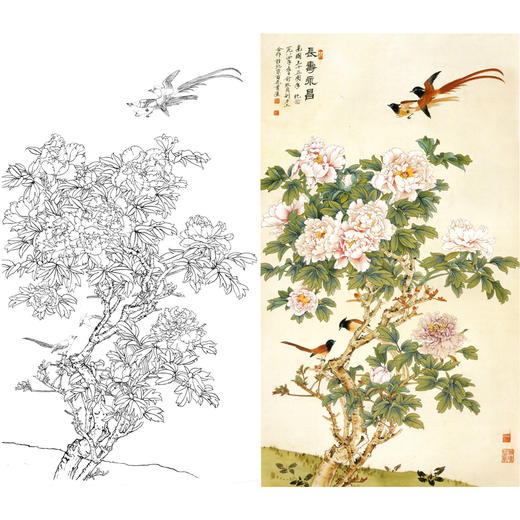 竖幅工笔花鸟白描底稿-俞致贞-牡丹《长寿永昌》-多种白描尺寸可选-A087 商品图0