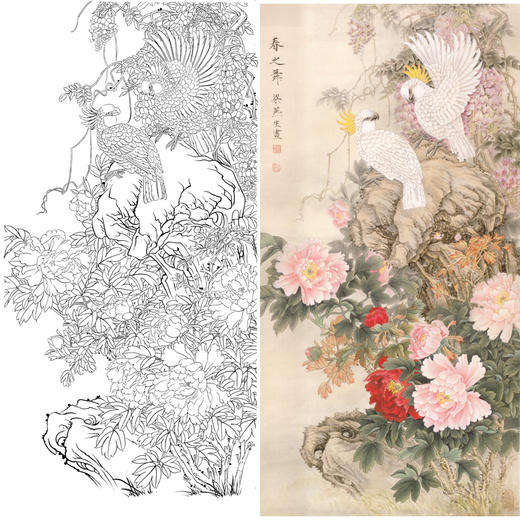 竖幅四尺六尺工笔花鸟白描底稿-梁燕生-牡丹鹦鹉《春之舞》-多种白描尺寸可选-A024 商品图0