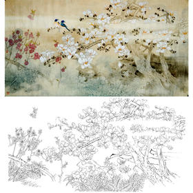 横幅四尺六尺工笔花鸟白描底稿-玉兰花-A062