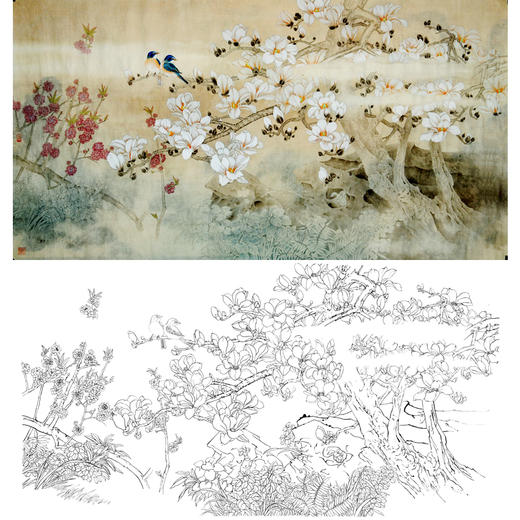 横幅四尺六尺工笔花鸟白描底稿-玉兰花-A062 商品图0
