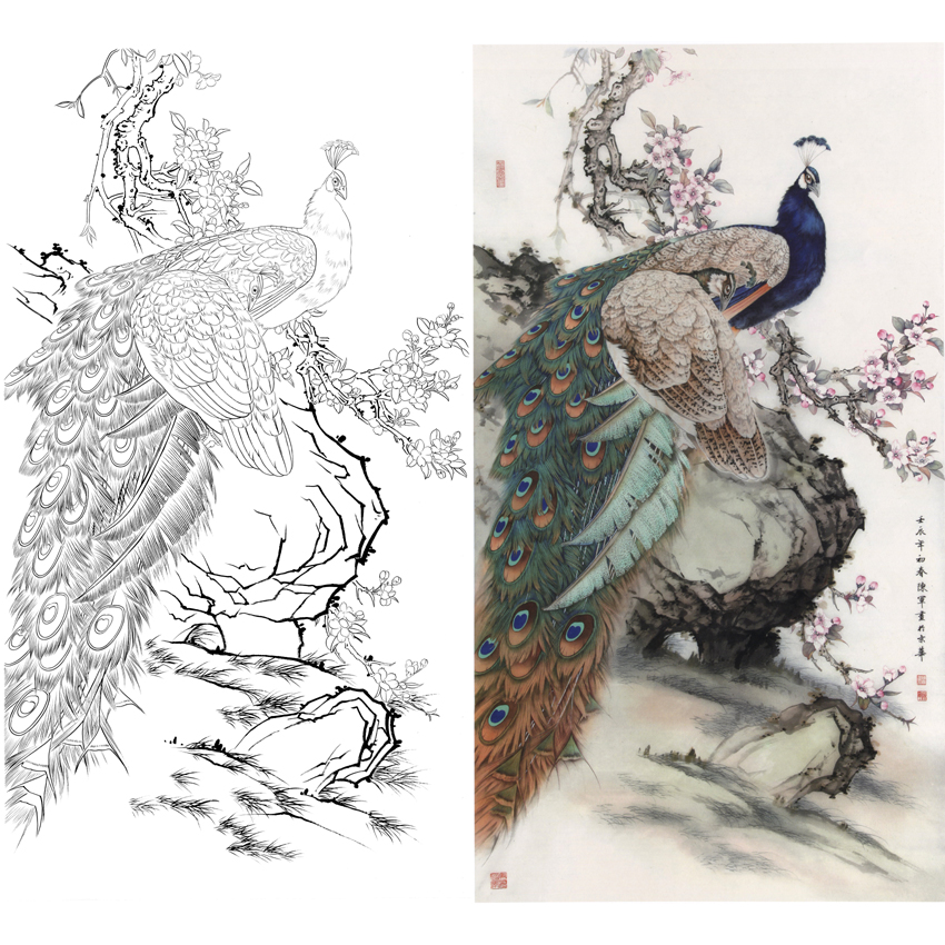 竖幅工笔花鸟白描底稿-陈军-孔雀-A101