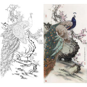竖幅工笔花鸟白描底稿-陈军-孔雀-A101