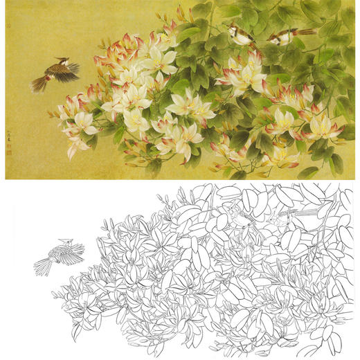 横幅工笔花鸟白描底稿-曹小民-A027 商品图0