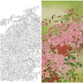 竖幅工笔花鸟白描底稿-曹小民-三角梅花-A023