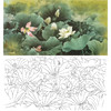 横幅工笔花鸟白描底稿-邹传安-荷花-A031 商品缩略图0