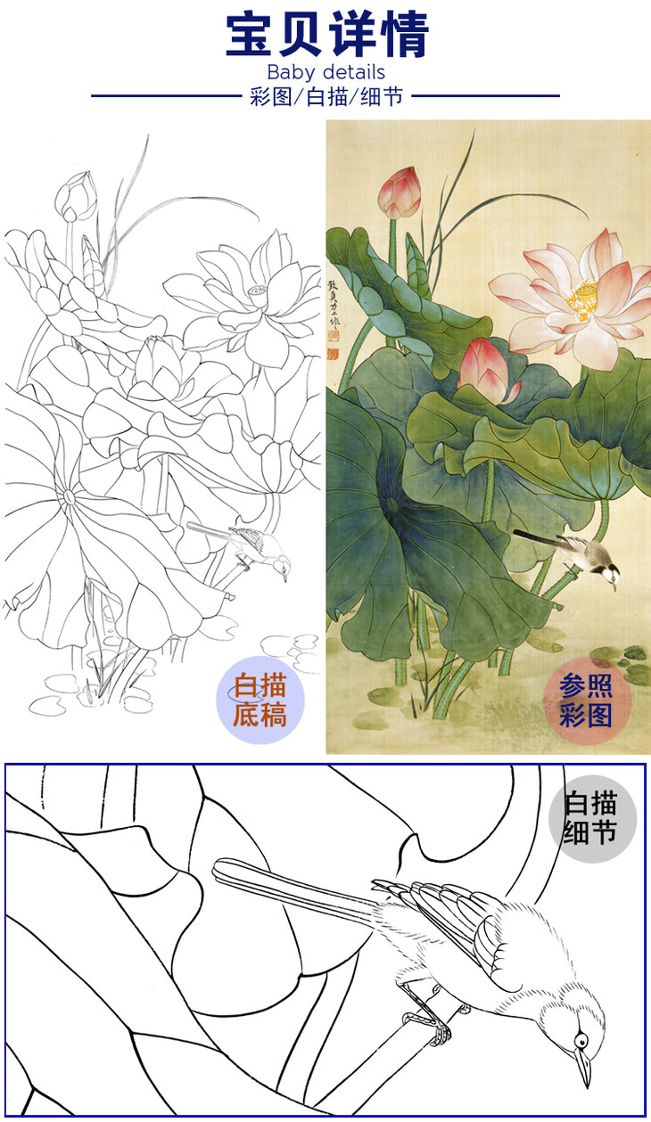 俞致贞竖幅工笔花鸟白描底稿荷花鹡鸰a091