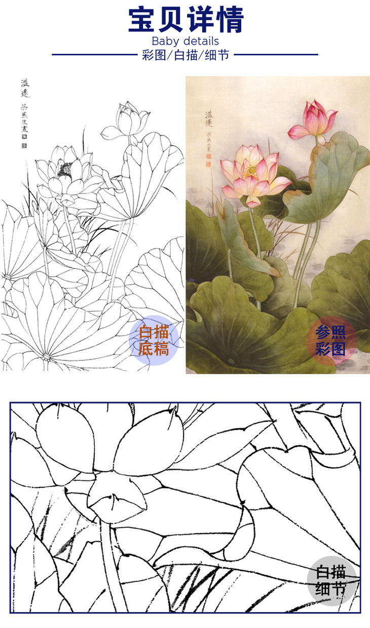 豎幅工筆花鳥白描底稿梁燕生荷花溢遠a124