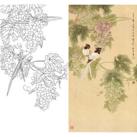 竖幅工笔花鸟白描底稿-喻继高-葡萄《玉珠雪羽》-多种白描尺寸可选-A054