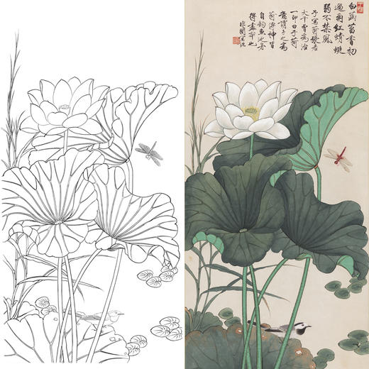 竖幅工笔花鸟白描底稿-于非闇-荷花蜻蜓-A079 商品图0
