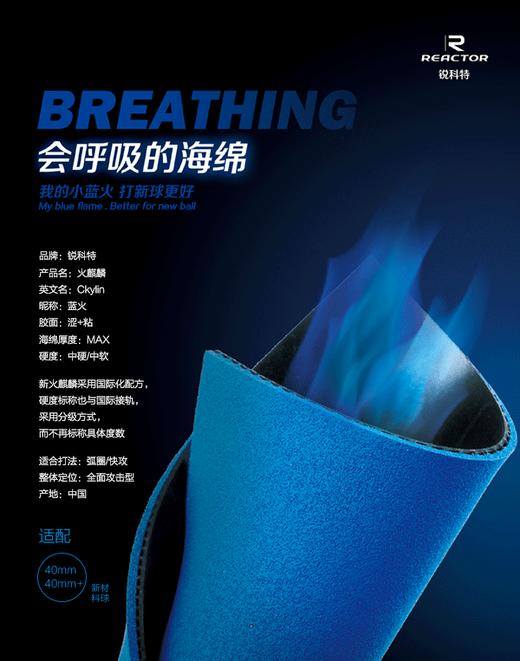 锐科特REACTOR 火麒麟 小蓝火 微粘反胶乒乓球套胶 商品图4