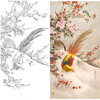 竖幅工笔花鸟白描底稿-梅花锦鸡-雪舞迎春-A036 商品缩略图0