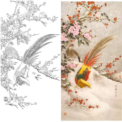 竖幅工笔花鸟白描底稿-梅花锦鸡-雪舞迎春-A036 商品图0