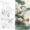 竖幅工笔花鸟白描底稿-金鸿钧四尺六尺-荷花鸳鸯-《清露》-多种白描尺寸可选-A083 商品缩略图0