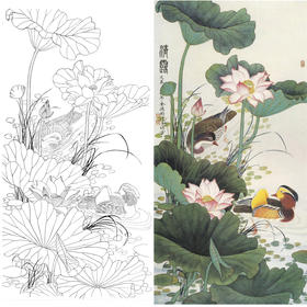 竖幅工笔花鸟白描底稿-金鸿钧四尺六尺-荷花鸳鸯-《清露》-多种白描尺寸可选-A083