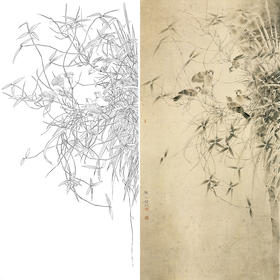 竖幅四尺六尺工笔花鸟白描底稿-麻雀-A111