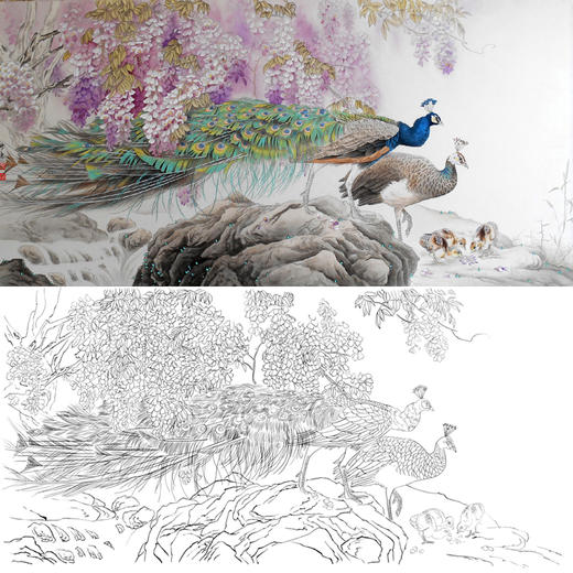 横幅四尺六尺工笔花鸟白描底稿-孙锡之-紫藤孔雀-A073 商品图0