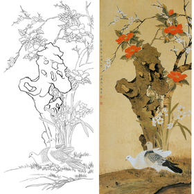 竖幅四尺六尺工笔花鸟白描底稿-陈之佛-山茶花鸽子《早春》-多种白描尺寸可选-A095