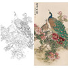 竖幅工笔花鸟白描底稿-田世光-牡丹孔雀-《富贵绮霞》-A081 商品缩略图0