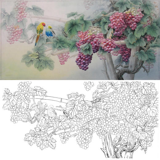 横幅四尺六尺工笔花鸟白描底稿-孙锡之-葡萄鹦鹉-A060 商品图0