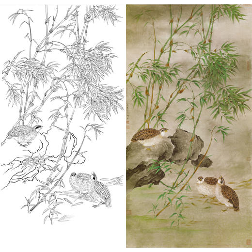 竖幅工笔花鸟白描底稿-曹小民-竹子鹌鹑-A034 商品图0
