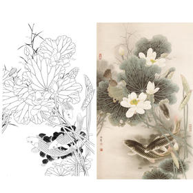 竖幅工笔花鸟白描底稿-路雨年-荷花鲤鱼-A008
