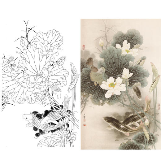 竖幅工笔花鸟白描底稿-路雨年-荷花鲤鱼-A008 商品图0
