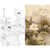 竖幅梁燕生工笔花鸟白描底稿-荷花-圣洁-A135 商品缩略图0