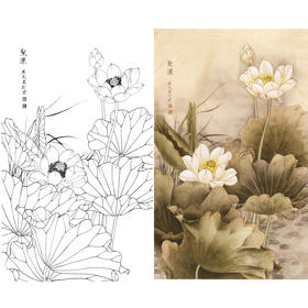 竖幅梁燕生工笔花鸟白描底稿-荷花-圣洁-A135