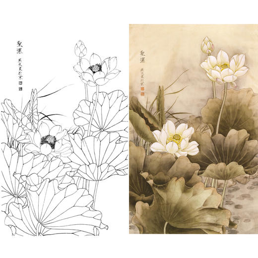竖幅梁燕生工笔花鸟白描底稿-荷花-圣洁-A135 商品图0
