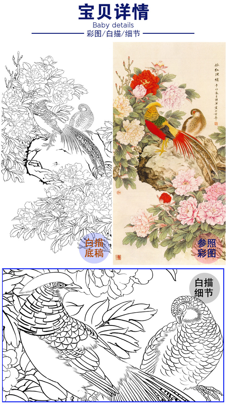 白描底稿豎幅工筆花鳥白描底稿牡丹錦雞a022