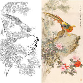 竖幅工笔花鸟白描底稿-锦鸡山茶花-醉红芳菲-A033