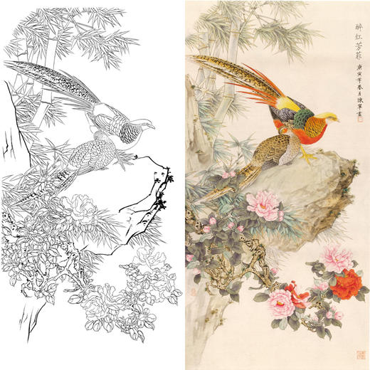 竖幅工笔花鸟白描底稿-锦鸡山茶花-醉红芳菲-A033 商品图0