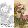 竖幅工笔花鸟白描底稿-梁燕生-菊花白鸽子《和平长久》-多种白描尺寸可选-A010 商品缩略图0