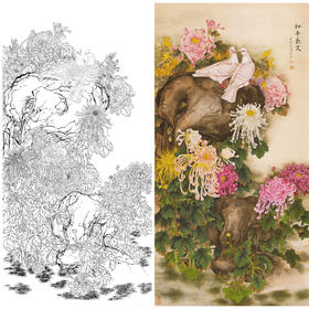 竖幅工笔花鸟白描底稿-梁燕生-菊花白鸽子《和平长久》-多种白描尺寸可选-A010