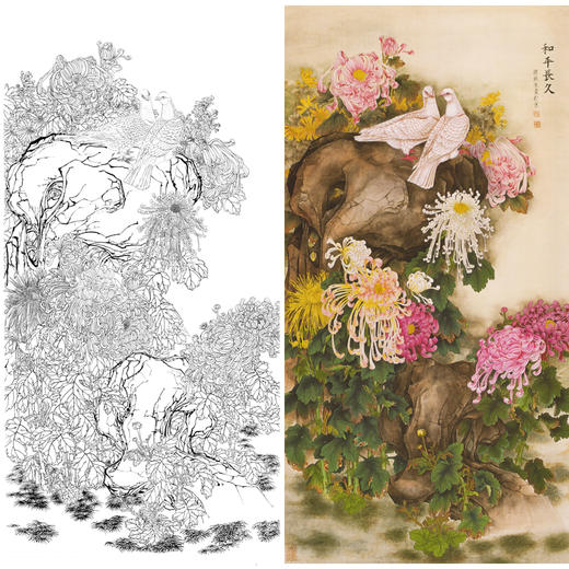 竖幅工笔花鸟白描底稿-梁燕生-菊花白鸽子《和平长久》-多种白描尺寸可选-A010 商品图0