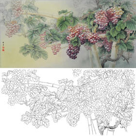 横幅四尺六尺工笔花鸟白描底稿-孙锡之-葡萄蝈蝈-A061