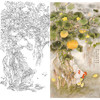 竖幅工笔花鸟白描底稿-梁燕生-公鸡南瓜-A047 商品缩略图0