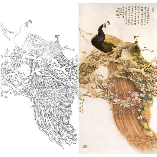 竖幅四尺六尺工笔花鸟白描底稿-张玉明-孔雀-A100 商品图0