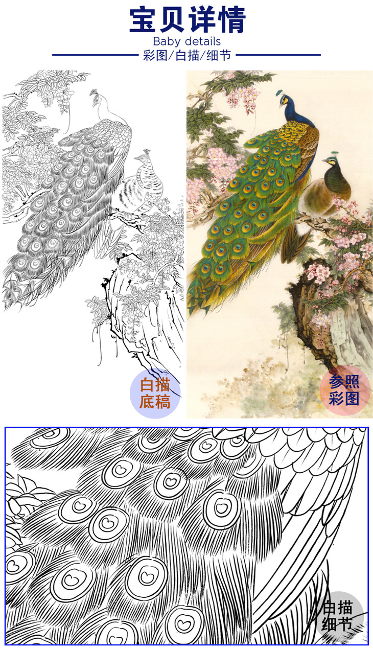 竖幅工笔花鸟白描底稿孔雀a017