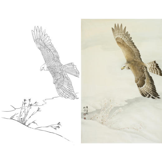 竖幅工笔花鸟动物白描底稿-雄鹰-郑路迅-A015 商品图0