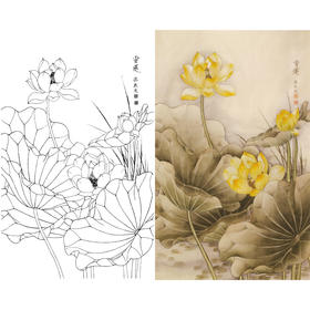 竖幅梁燕生工笔花鸟白描底稿-荷花-《香莲》-多种白描尺寸可选-A129