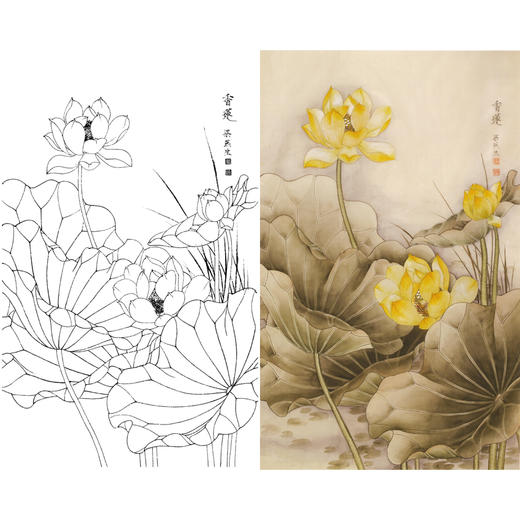竖幅梁燕生工笔花鸟白描底稿-荷花-《香莲》-多种白描尺寸可选-A129 商品图0