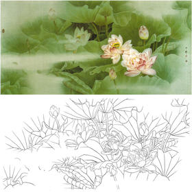 周中耀横幅工笔花鸟白描底稿-荷花《晨娇何如妾》-多种白描尺寸可选-A030