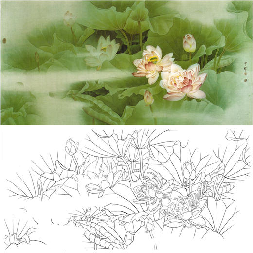 周中耀横幅工笔花鸟白描底稿-荷花《晨娇何如妾》-多种白描尺寸可选-A030 商品图0